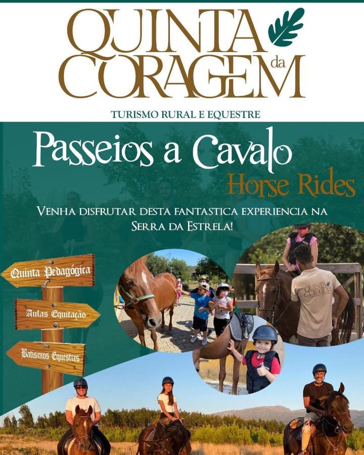 Casa D'Avo Coragem Apartamento Seia Exterior foto